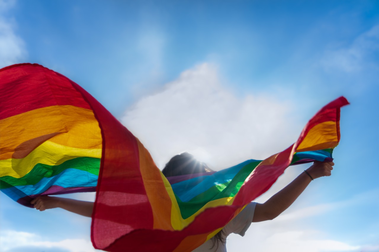 Ally LGBTQ+ flag waving