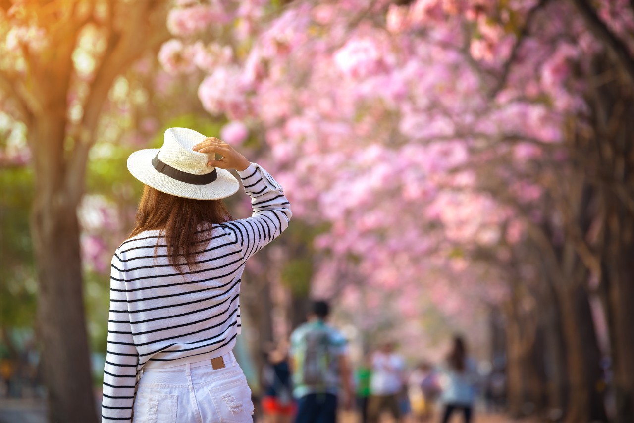 Why insurance riders might be the key to growing your dreams